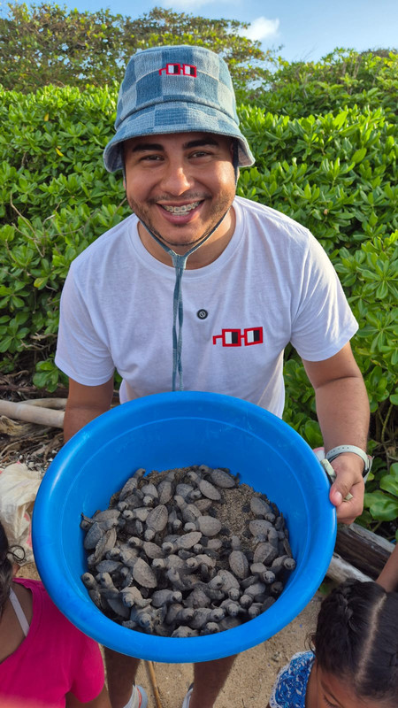 tortugas.jpg